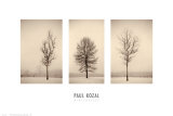 Winterscapes