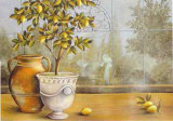Lemon House near Amalfi