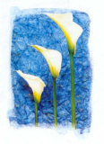 Buy Colours of Summer I at AllPosters.com