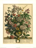 July Art Print