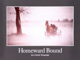 Buy Homeward Bound at AllPosters.com