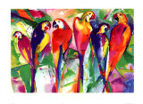 Parrot Family