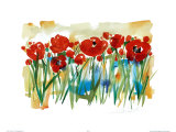 Field of Poppies