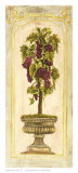 Grape Topiary I
