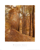 Walking Trail Art Print