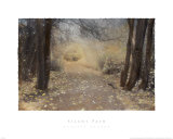Silent Path Art Print