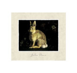 Buy Hare at AllPosters.com