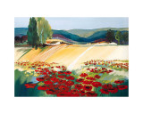 Felder im Sommer I