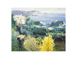 Greek Landscape