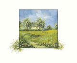 Buy Ostsee at AllPosters.com
