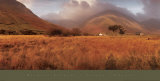 Buy Season's Change at AllPosters.com