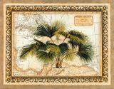 West Indies Palm