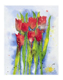 Red Tulips