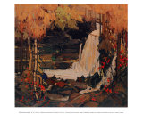 Woodland Waterfall