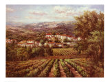 Vino Bianco