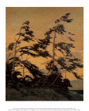 Pine Island, Georgian Bay