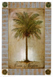 Cocos Nucifera
