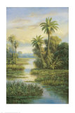 Island Serenity II