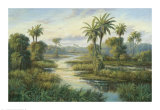 Island Serenity III