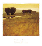 Buy Sienna Meadow at AllPosters.com