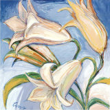 Buy Wild Flowers I at AllPosters.com