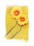 Buy Colours of Summer II at AllPosters.com