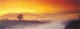 Misty Sunset