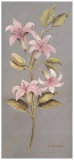 Buy Flores I at AllPosters.com