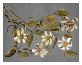 Buy Flores III at AllPosters.com