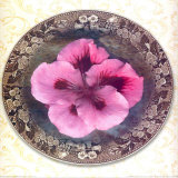 Buy Four Dressed Plates I at AllPosters.com