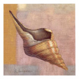 Buy Small Snail at AllPosters.com