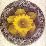 Buy Four Dressed Plates III at AllPosters.com