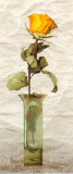 Buy Rose in a Pot IV at AllPosters.com
