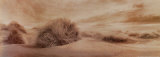 Buy Boundless Vista at AllPosters.com
