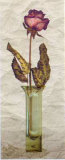 Buy Rose in a Pot III at AllPosters.com