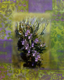 Buy Fines Herbes II at AllPosters.com