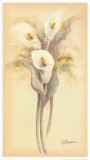 Buy Lilies Bouquet I at AllPosters.com