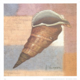 Buy Small Snail at AllPosters.com