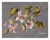 Buy Flores IV at AllPosters.com