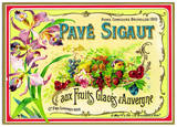 Pav� Sigaut Art Print