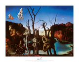 Swans Reflecting Elephants, c.1937