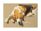 Buy Hound in a Kennel at AllPosters.com
