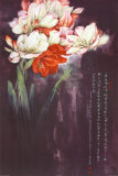 Buy Aroma at AllPosters.com