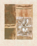 Safari IV
