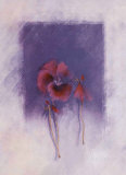 Scarlet Violet