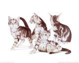 Puppies and Kittens I