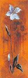 Buy Scenic Flowers II at AllPosters.com