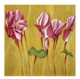 Buy Pink Cyclamens at AllPosters.com