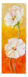 Buy Spring Accents III at AllPosters.com