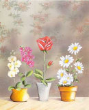 Buy Touch of Class IV at AllPosters.com